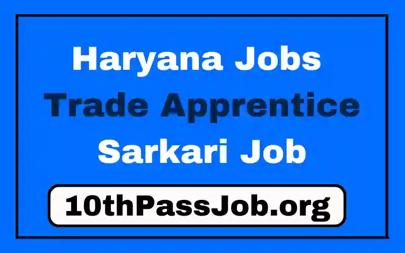 Haryana Jobs Trade Apprentice Sarkari Job