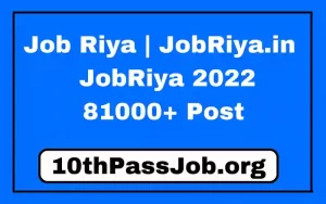 Job Riya | JobRiya.in | JobRiya 2022 Expert Performance Analyst