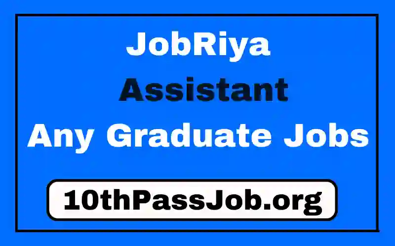 JobRiya Assistant Any Graduate Jobs