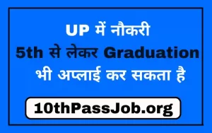 Executive 5th 8th 10th 12th Graduation Pass Govt Jobs in UP (अनपढ़ भी अप्लाई कर सकते हैं)