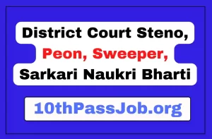 District Court Steno, Peon, Sweeper, Sarkari Naukri Bharti