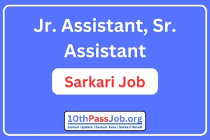 Jr. Assistant, Sr. Assistant Sarkari Job 2024