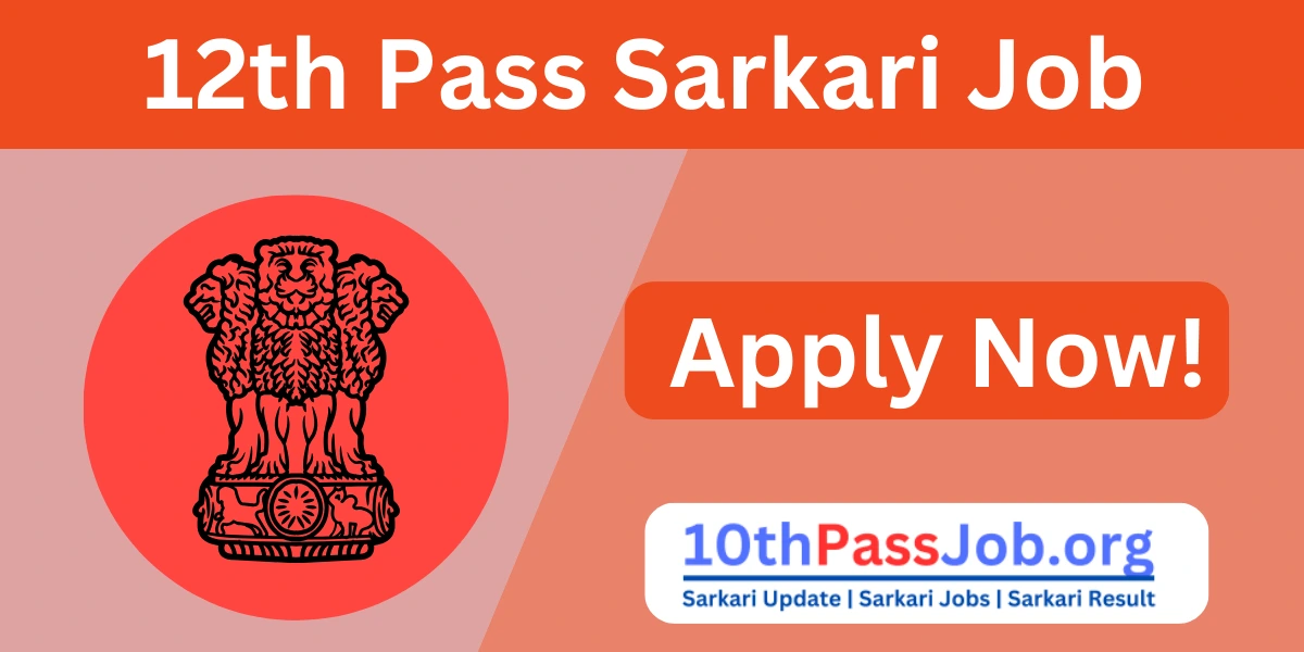 Government Jobs in Ambala For 12th Pass 10thpassjob.org