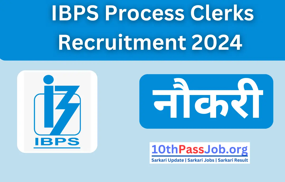 IBPS Process Clerks Recruitment 2024